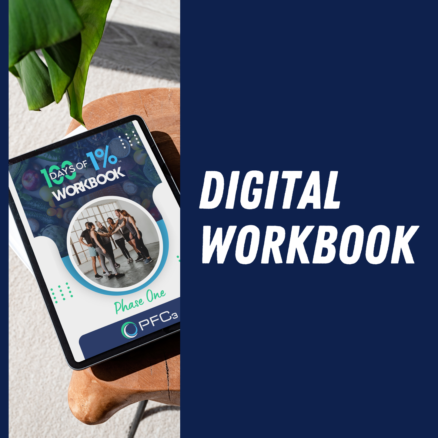 100 Days of 1% DIGITAL Workbook